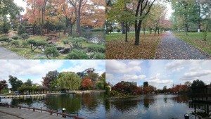 旭川市常磐公園の秋（2014.10）