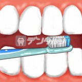 歯磨き 口の中 歯茎 歯ブラシ byきのこむし夢子