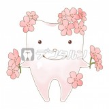 桜と歯 by 白い毛玉