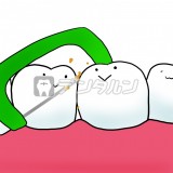 歯と歯の間についた、通常の歯ブラシではとれにくい汚れをフロスでとっているイラスト