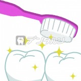 歯ブラシでピカピカ  歯と歯ブラシ