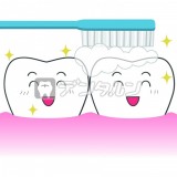 歯のお掃除  歯と歯ブラシ