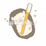 歯を磨いて寝るハリネズミ 動物 歯ブラシ by桜子
